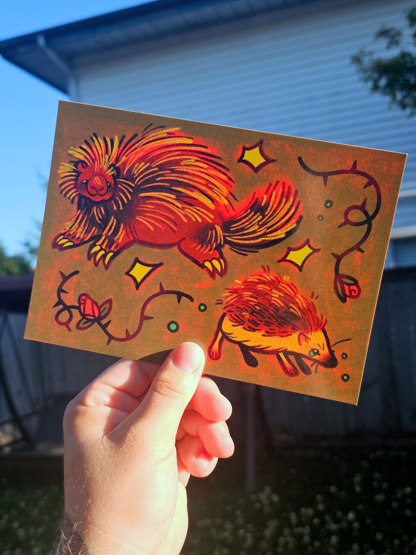 porcupine & hedgehog print (september 2025 print club)