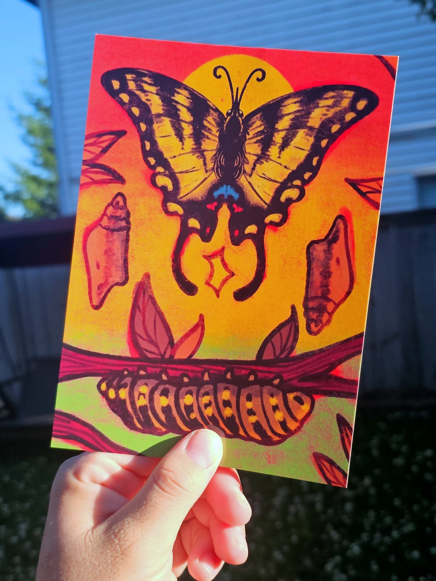 butterfly print (february 2025 print club)